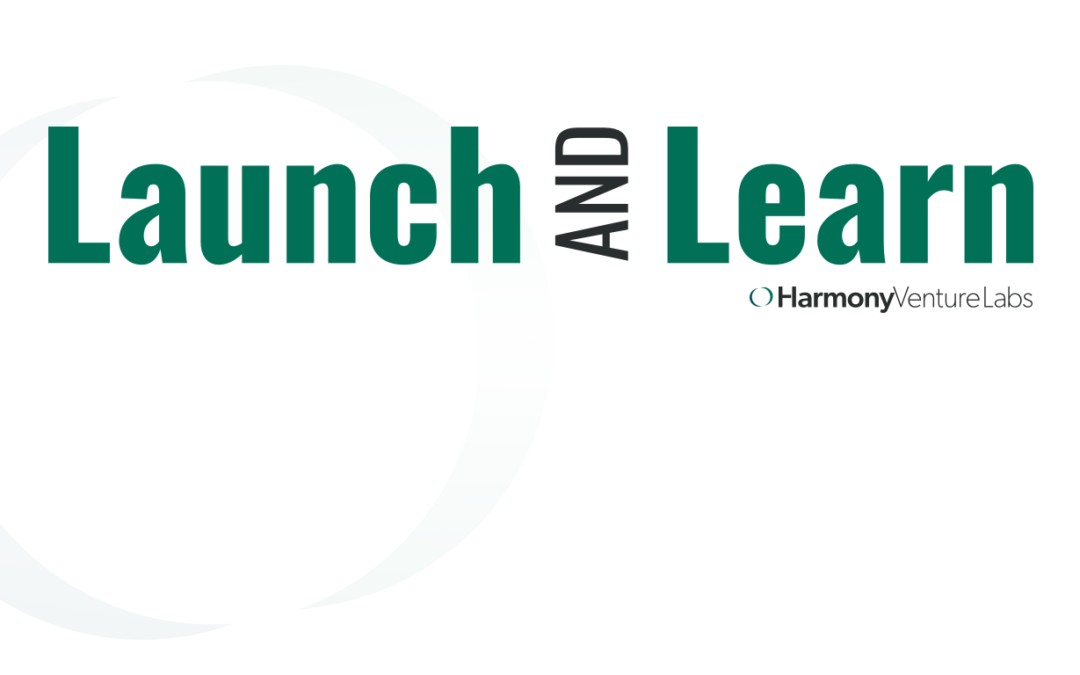 Launch & Learn: Designing for Enterprise Software